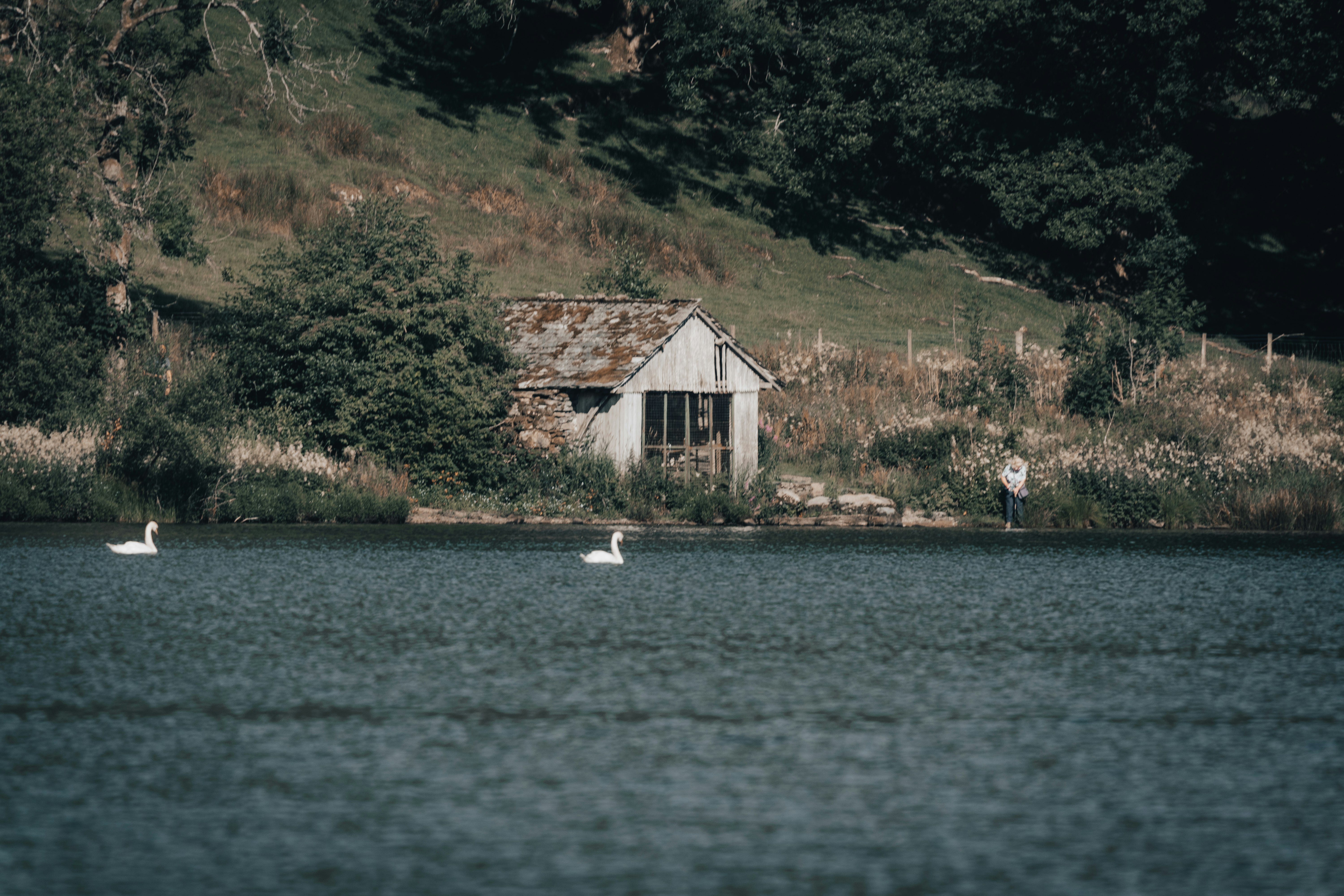 white and brown house on body of water during daytime